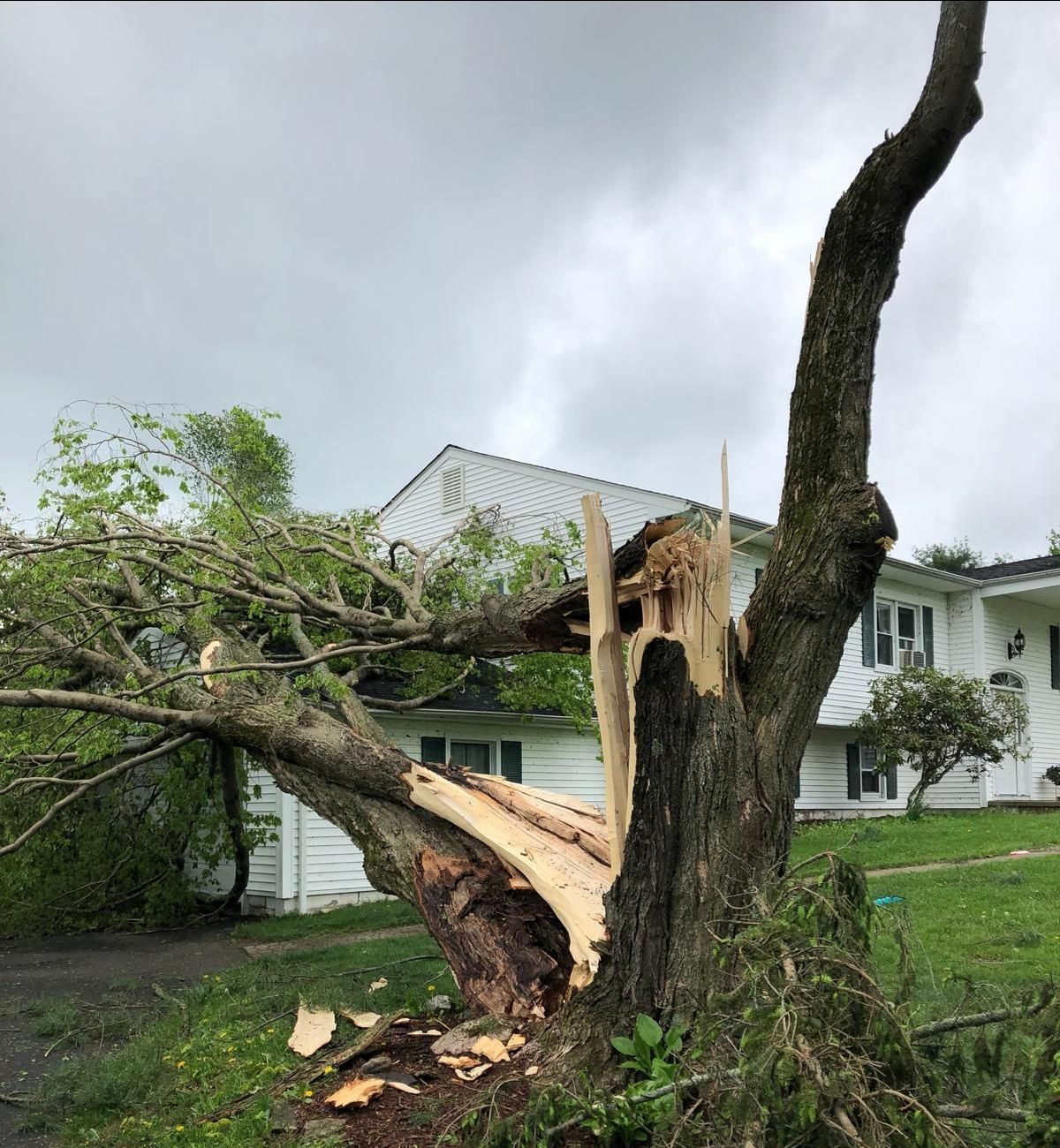 Christian Tree Service LLC