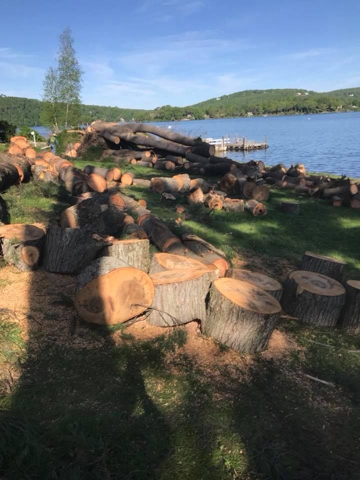 A stack of logs neatly arranged in a lakeside field