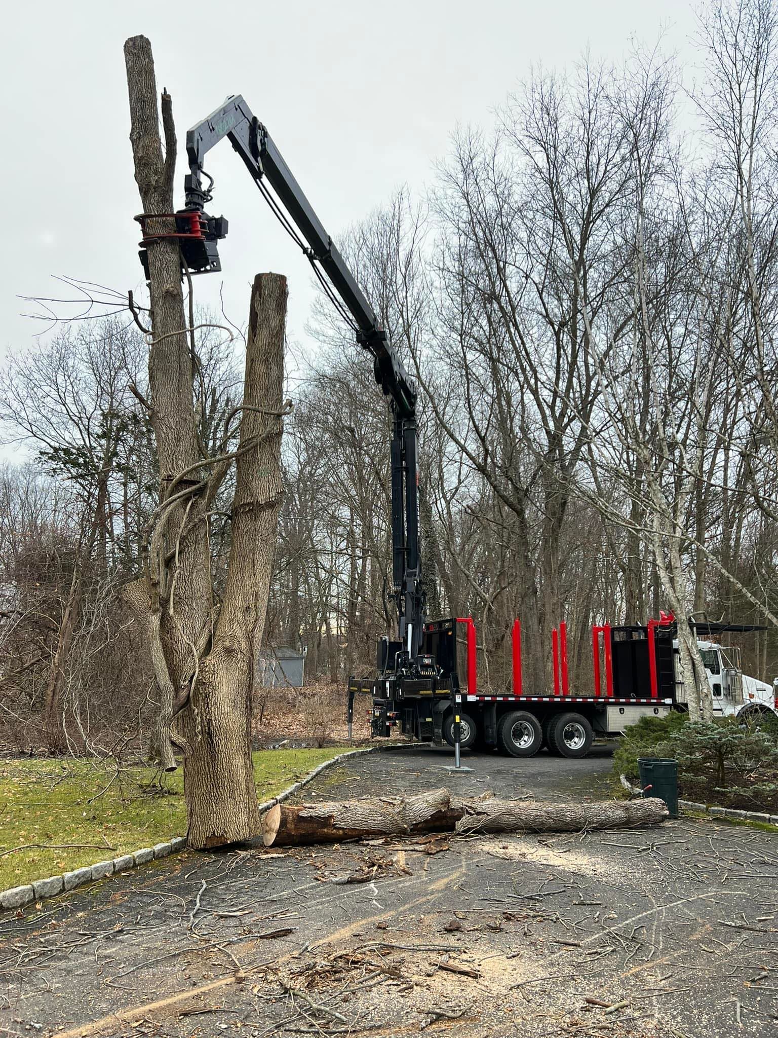 A crane is cutting down a tree in a driveway