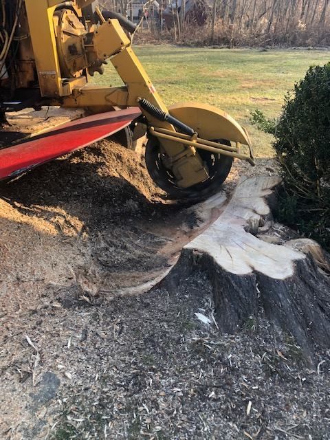 A large tree stump is being removed by a machine