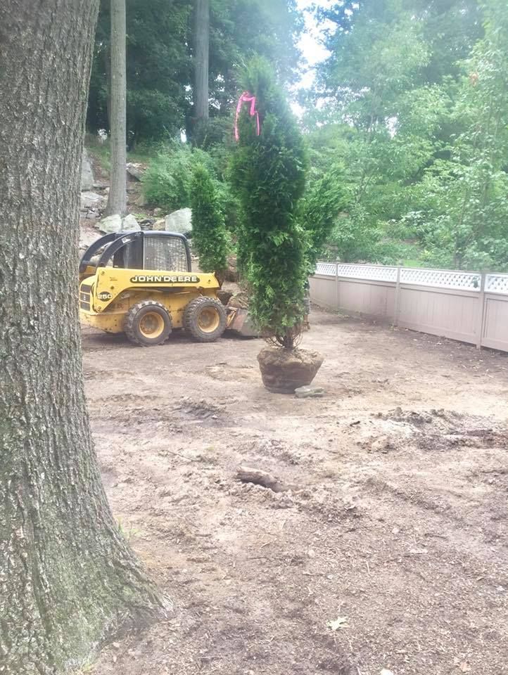 A yellow tractor is moving trees in a yard