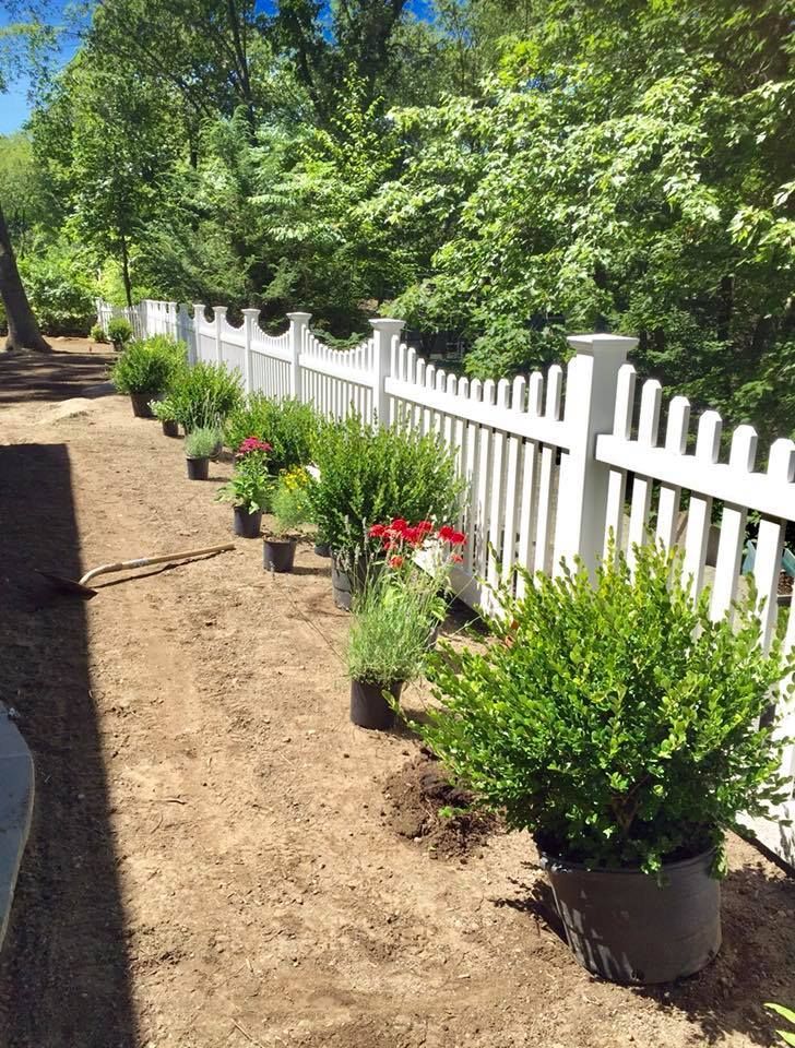 White picket fence lined with potted green bushes and flowers on a dirt path.