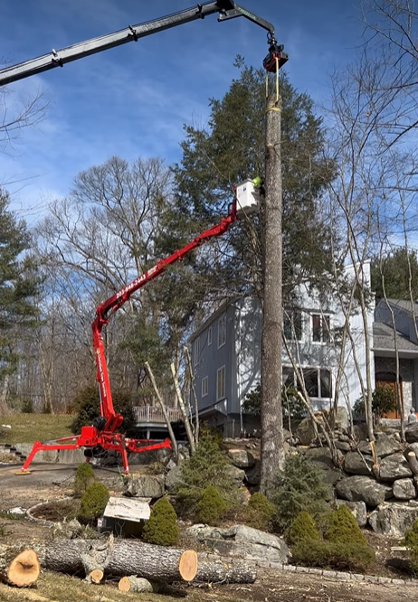 A crane is cutting down a tree in front of a house