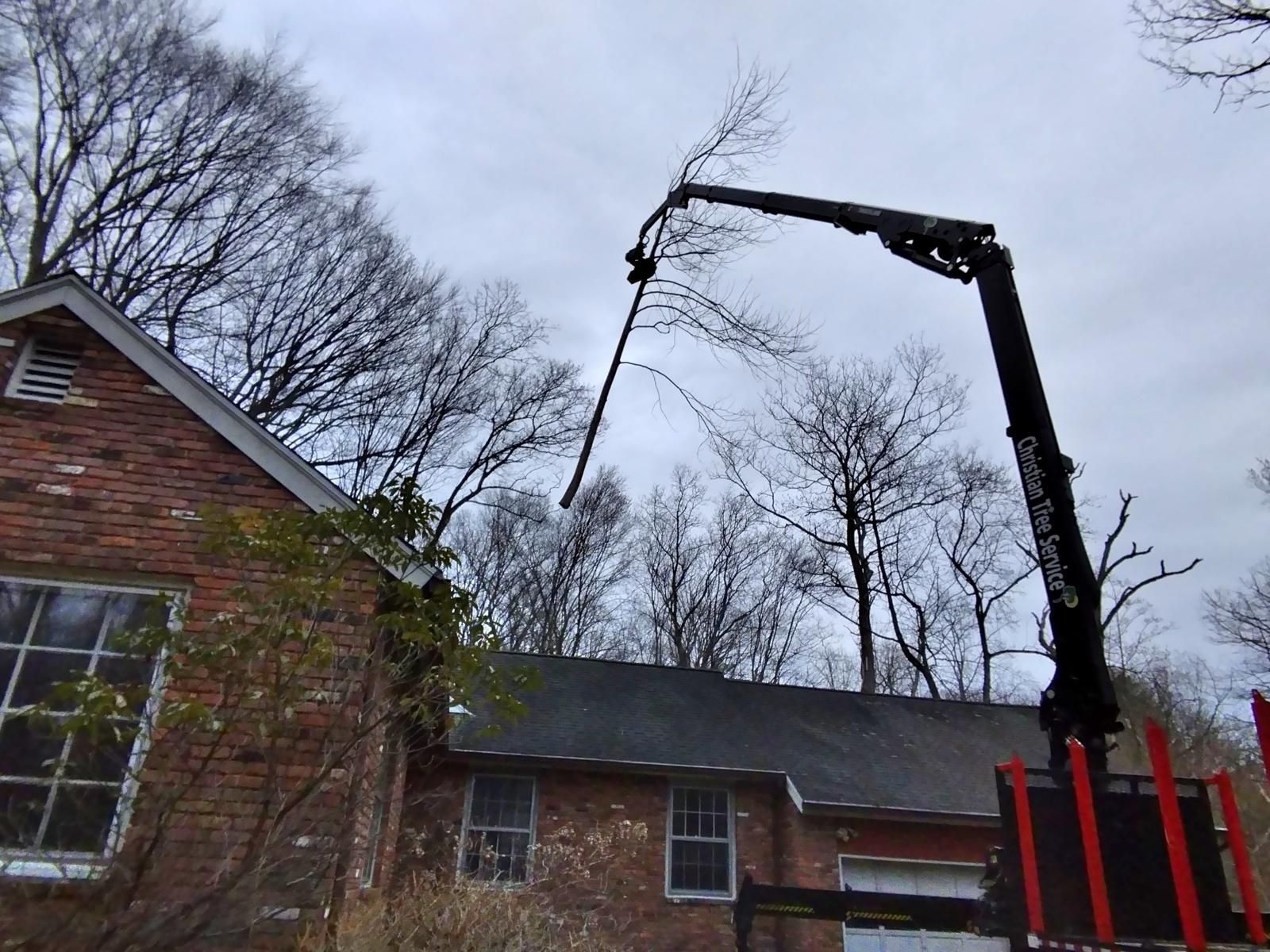 A crane is lifting a tree branch in front of a brick house