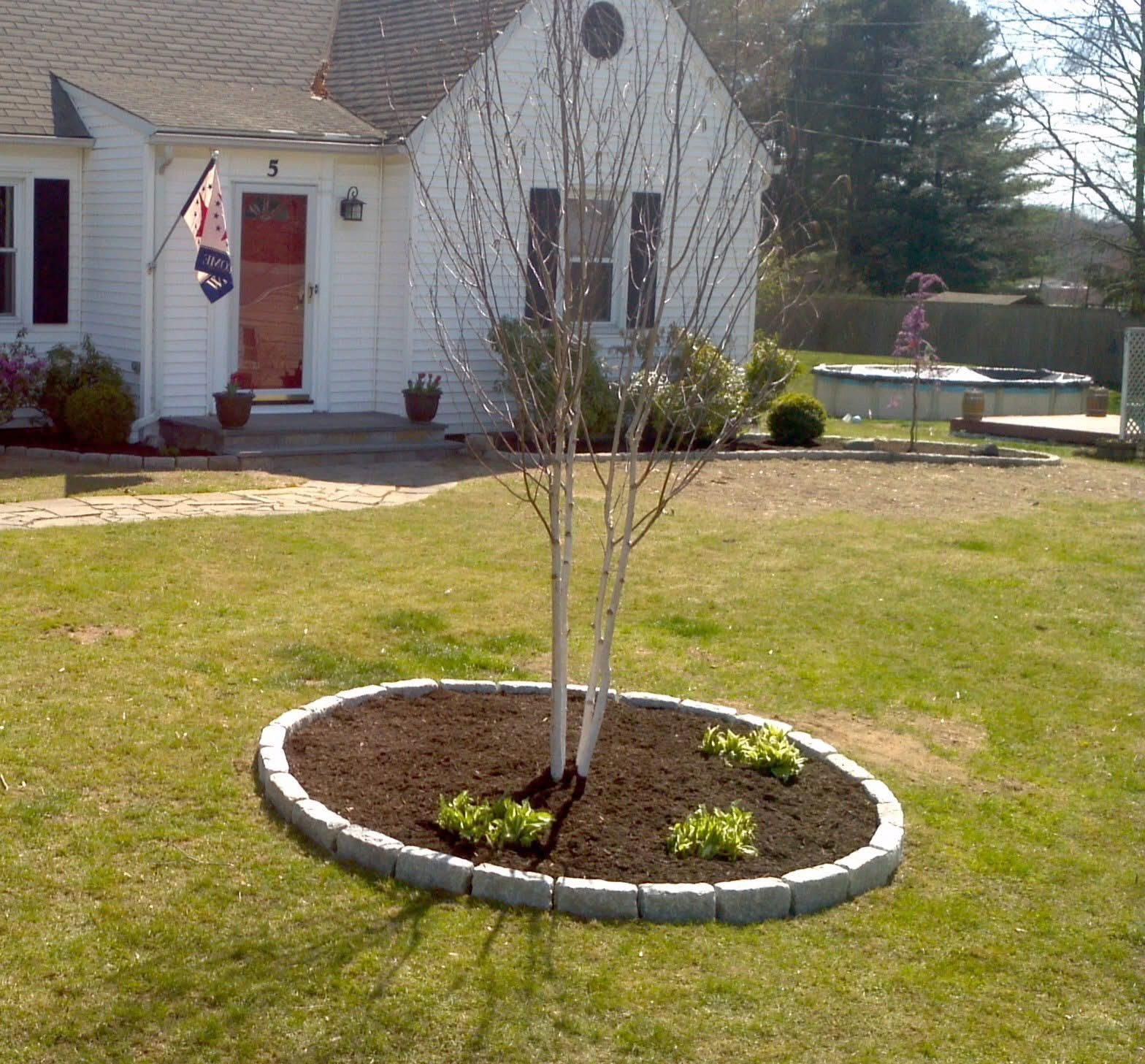 A tree in a circle in front of a white house