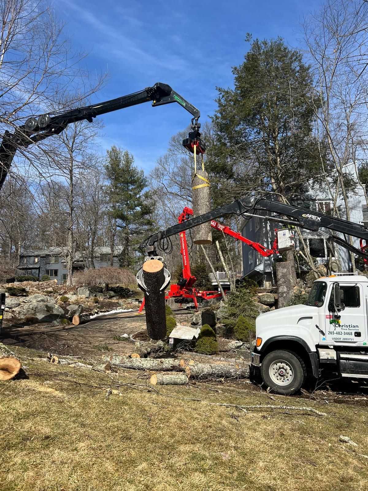 A crane is cutting a tree in a yard next to a truck