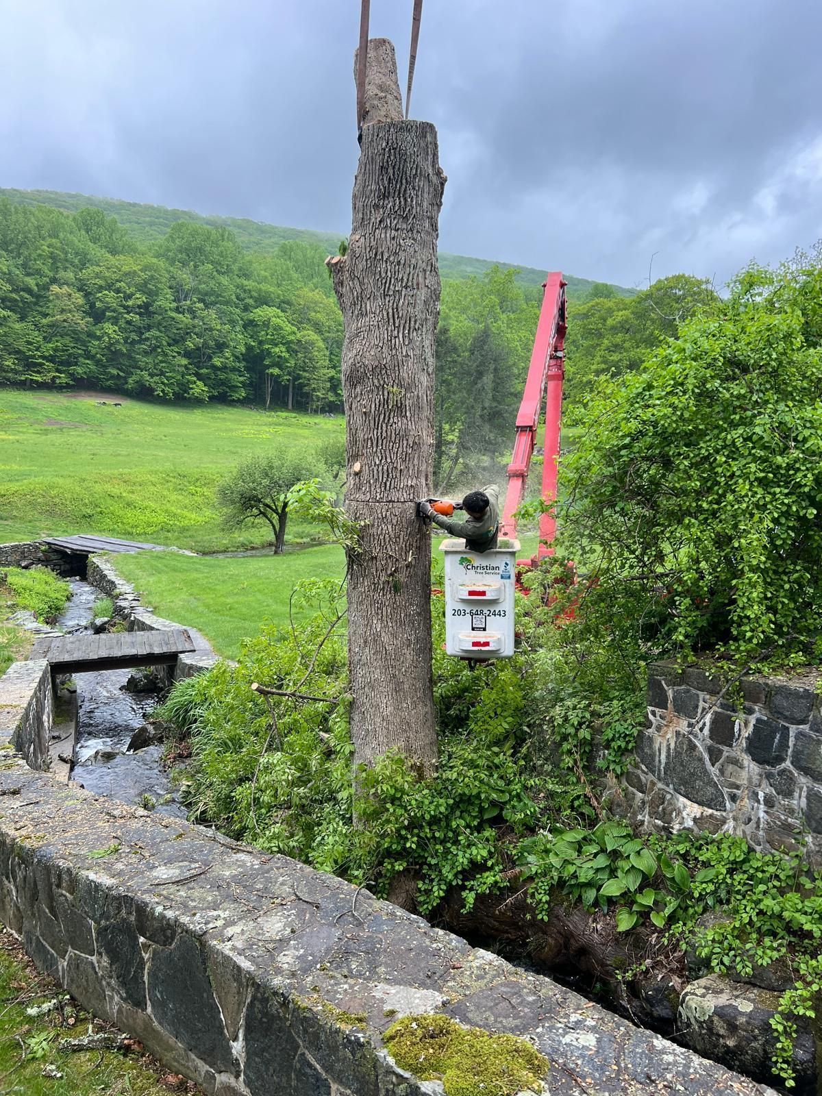 A tree being trimmed near a stream by a worker in a lift bucket. Green field in background.