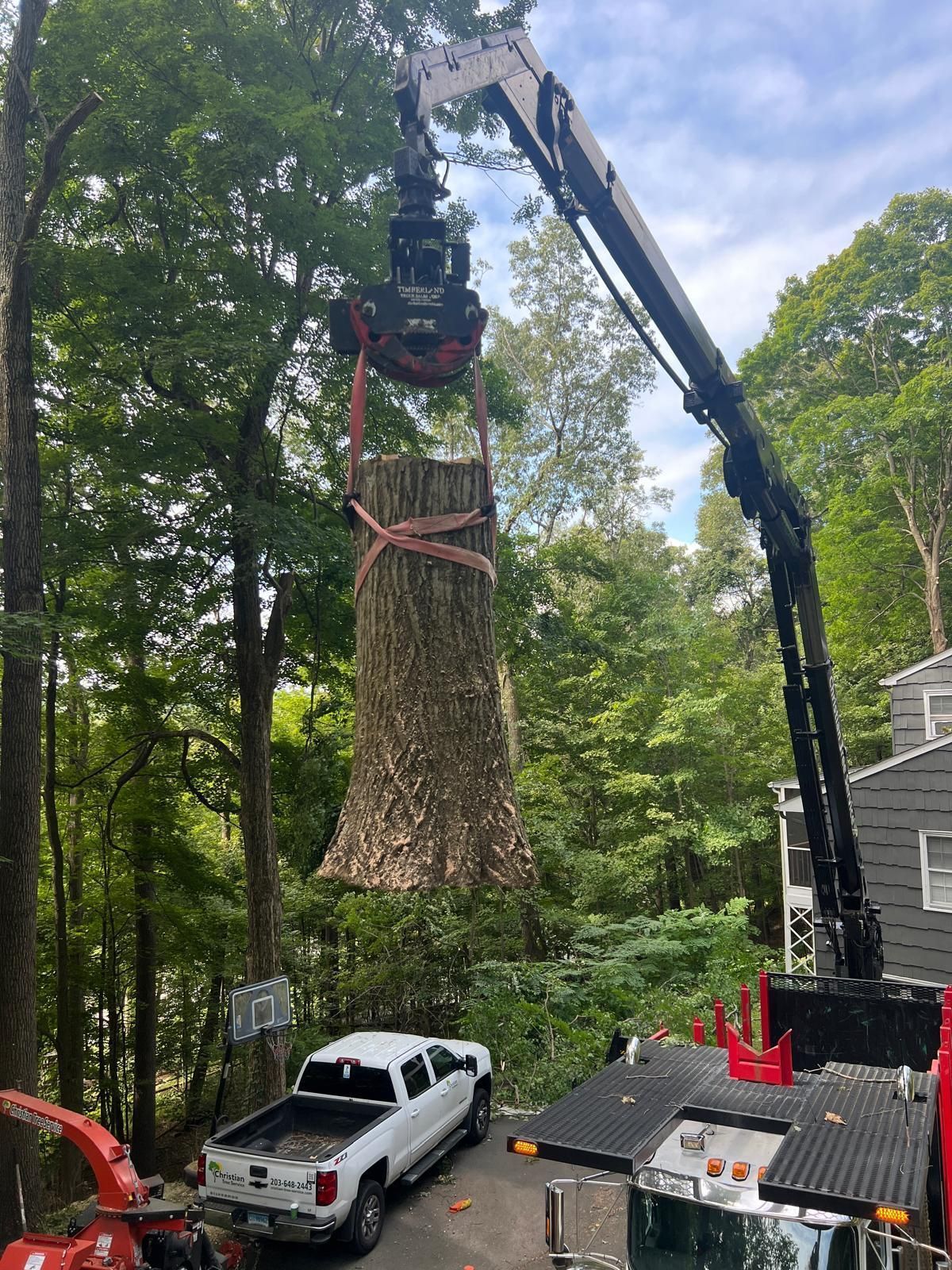 A crane lifts a large tree trunk. A white truck and machinery are visible in a yard.