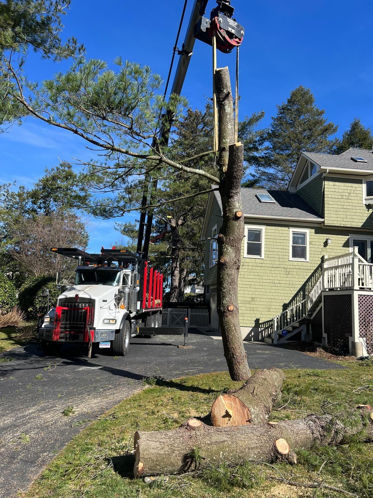 Tree being cut down with a crane truck in front of a house and driveway, blue sky.