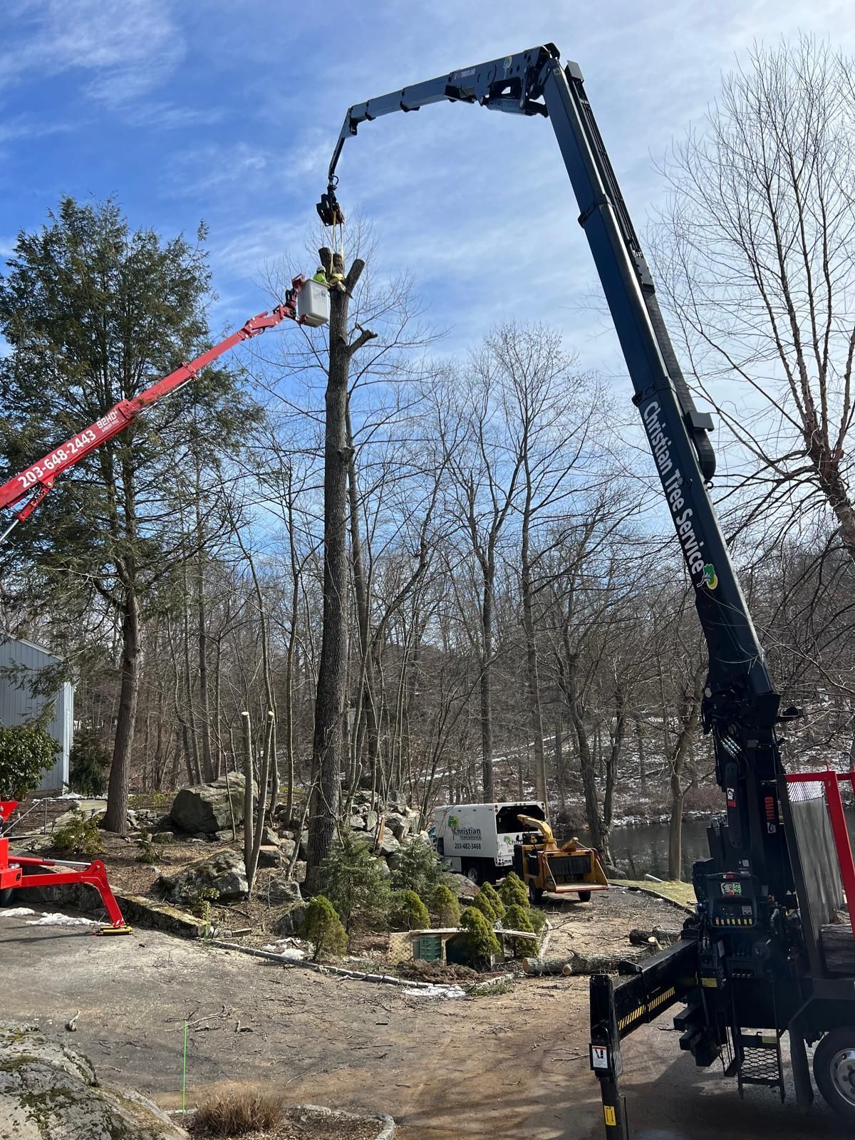 Tree being trimmed by workers in a lift and crane truck on a sunny day.