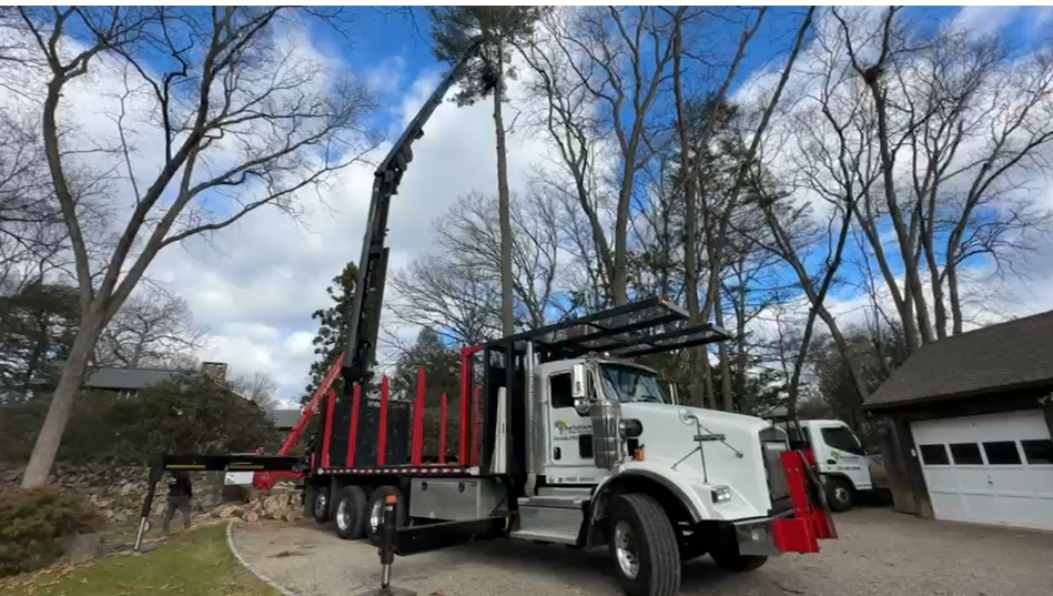 Christian Tree Service LLC