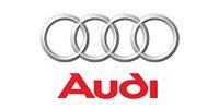 Audi logo with silver rings and red text.