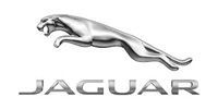 Silver Jaguar leaping logo with the word