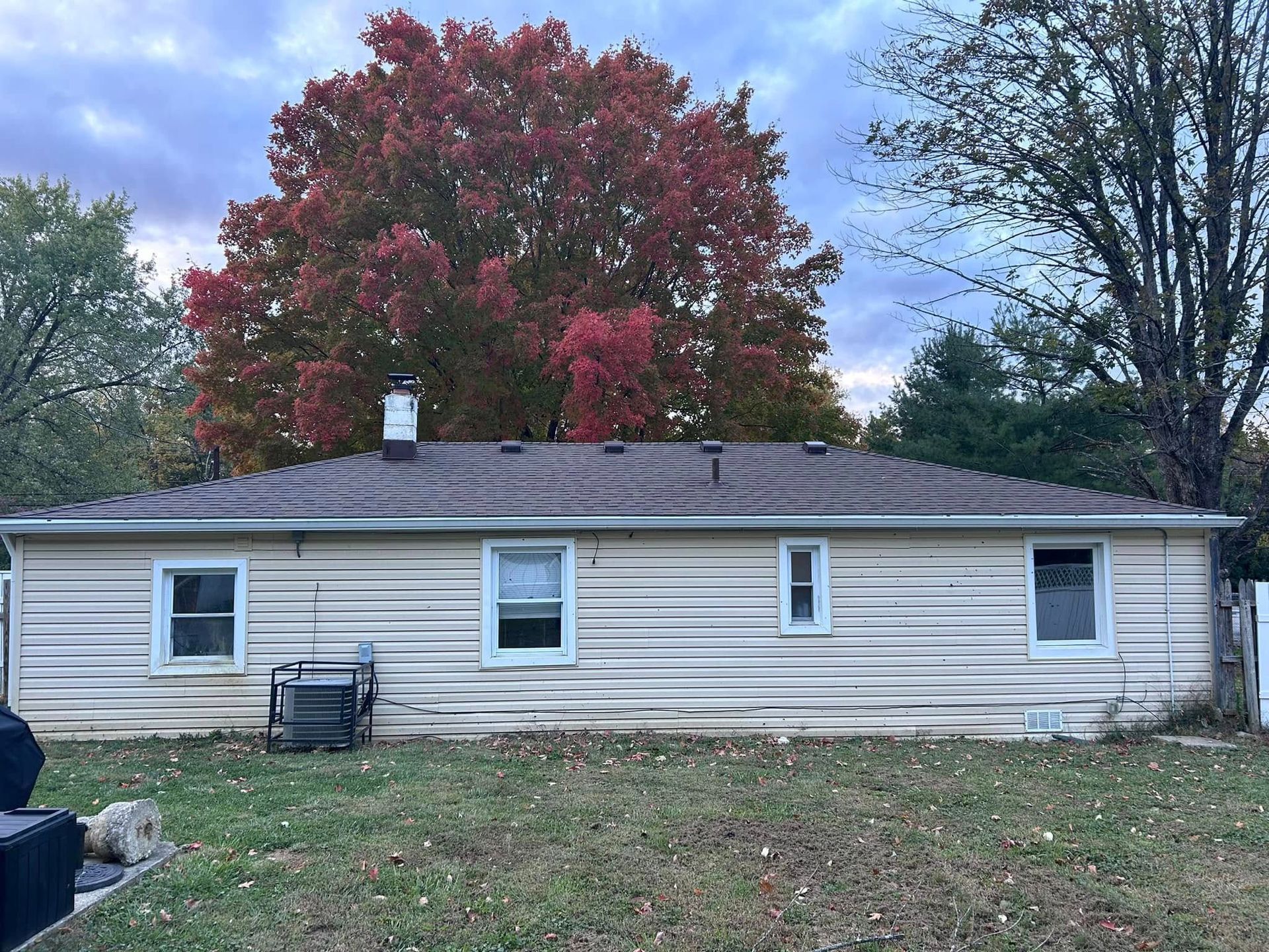 The back of a house with a tree in the background