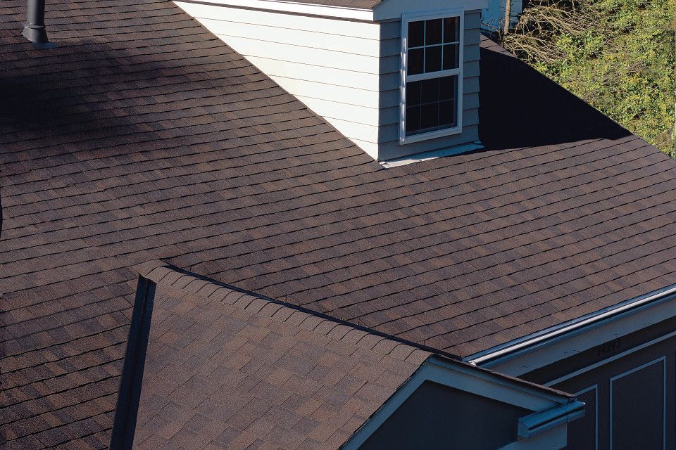 black walnut