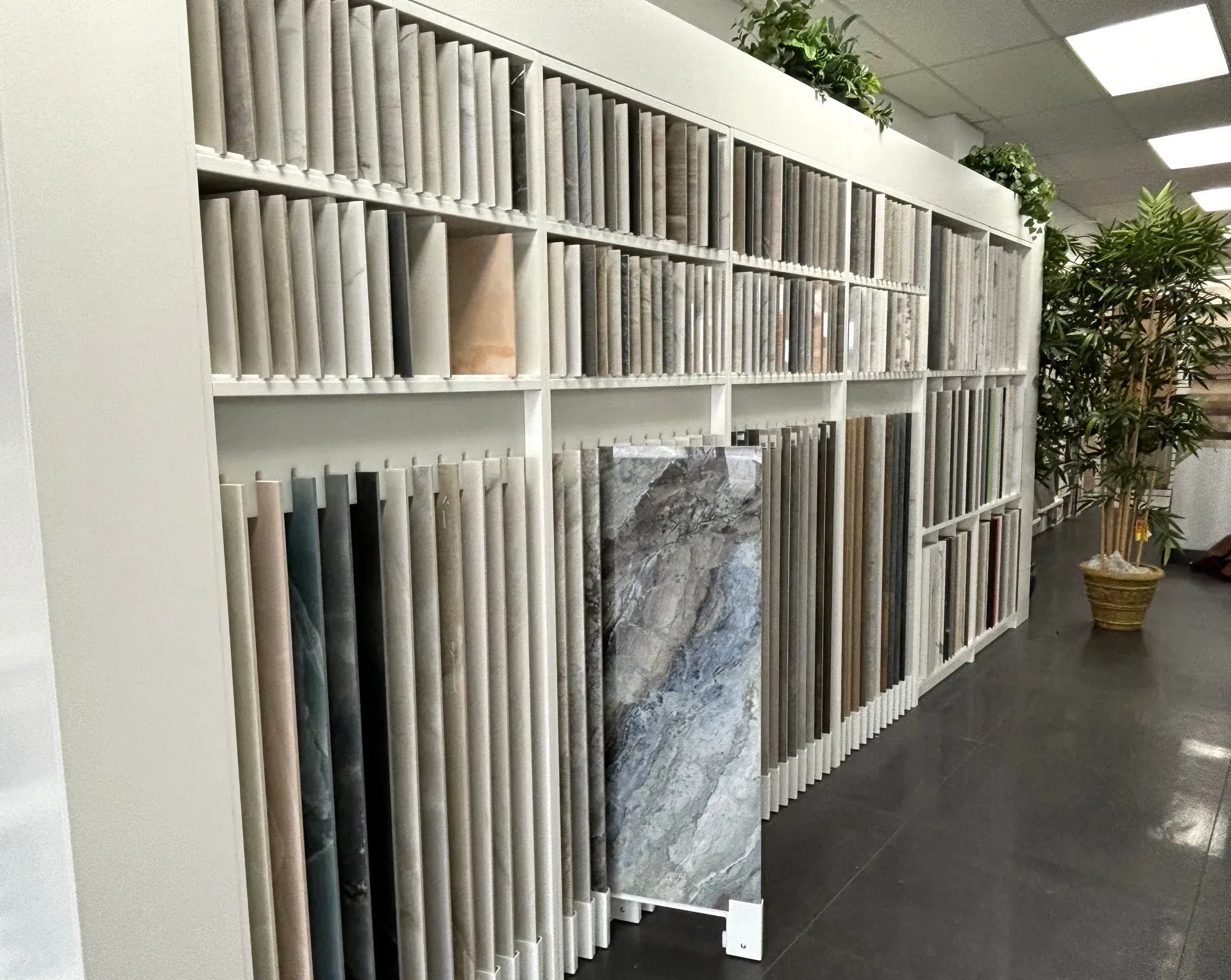 Showroom aisle with white shelving of tile or stone samples and a potted plant in the background