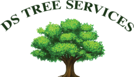 DS Tree Services Corp - logo