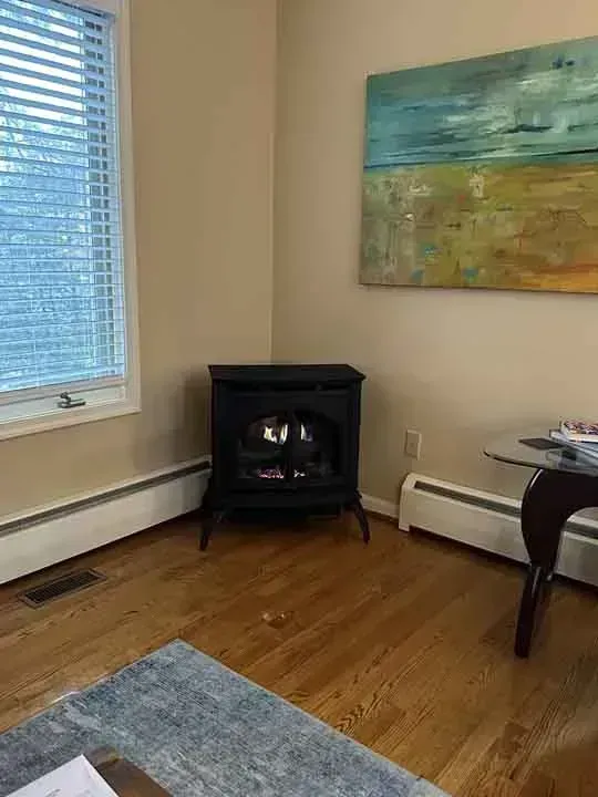 Black electric fireplace in corner of room with wood floor. Window with blinds, painting, and radiator present.