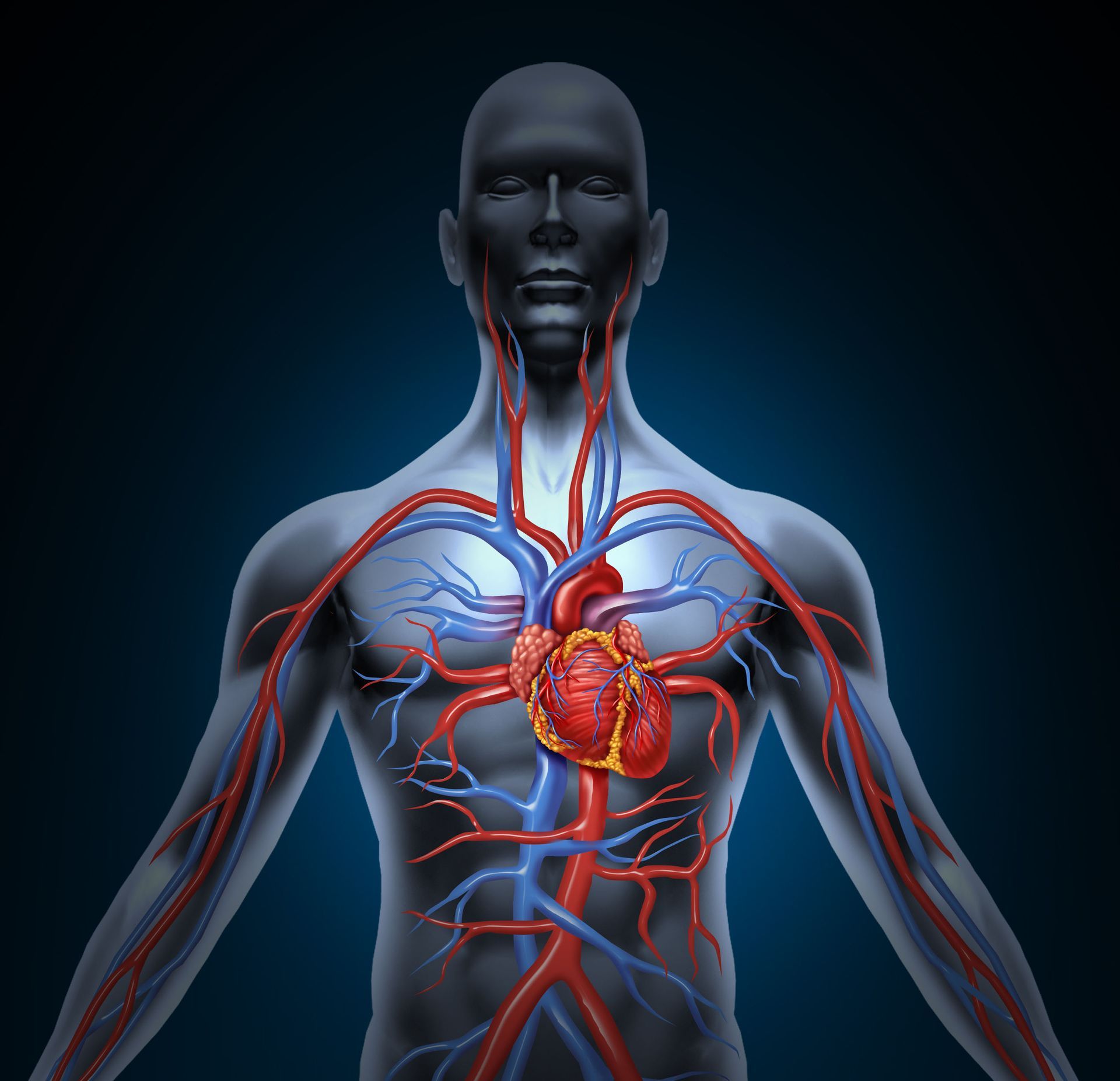cardiologists
