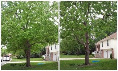 Maple trim before and after