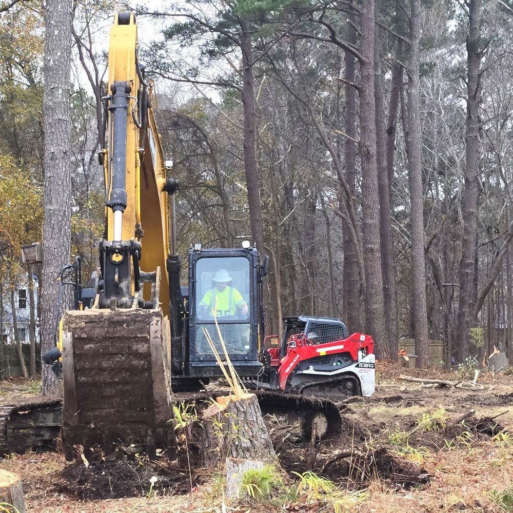 A yellow excavator and a red skid steer operate in a wooded area with tall trees and cleared ground.