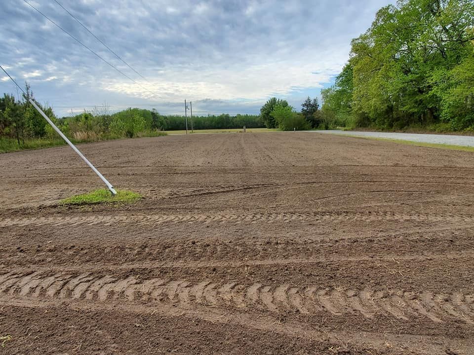 A freshly tilled, empty field with tire tracks under a cloudy sky next to a wooded area and road.