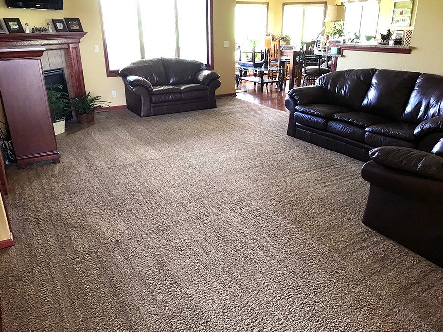 Steam cleaning service