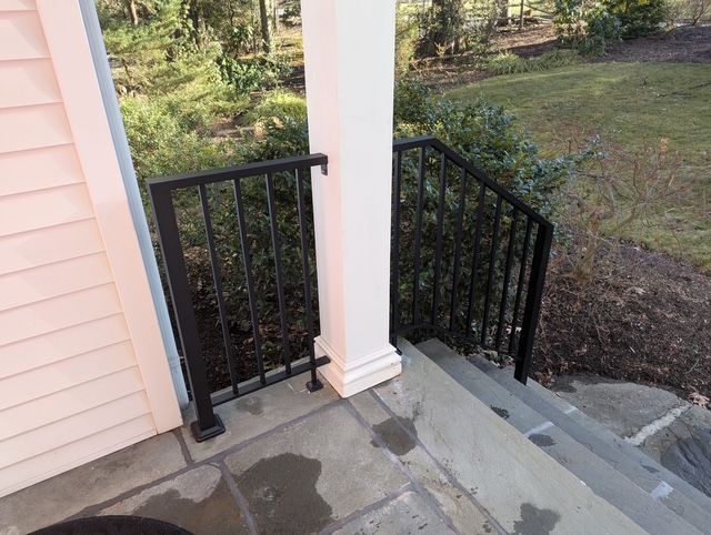 Small porch landing with black railings, concrete steps, and a grassy yard below.