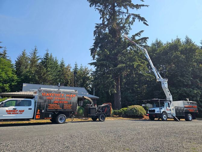 Hatchet Man Tree Service
