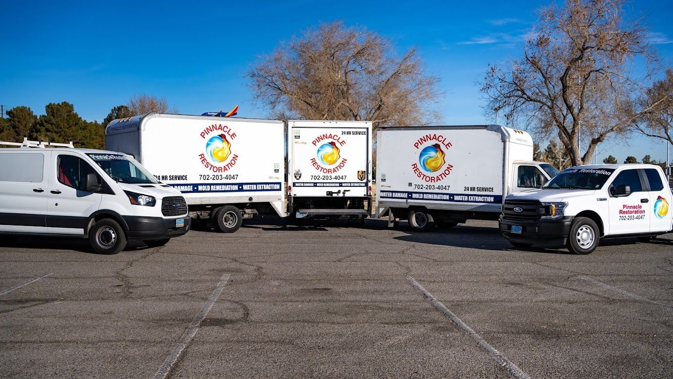 Three white delivery trucks with colorful logos parked in a lot under a clear blue sky.