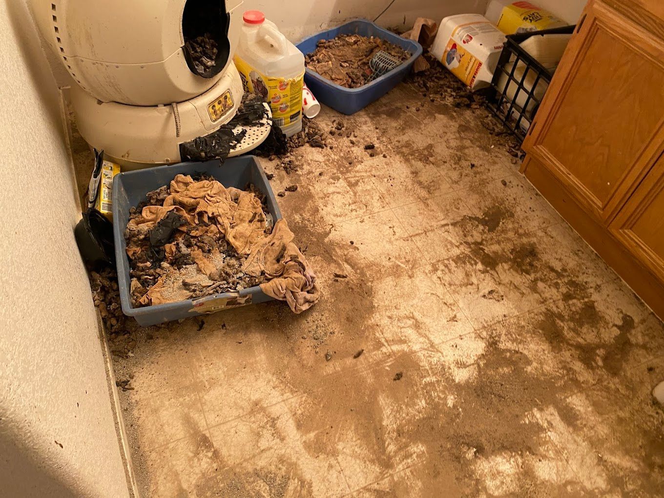 Dirty laundry room with litter boxes, scattered debris, and stained floor beside a washing machine and cabinets