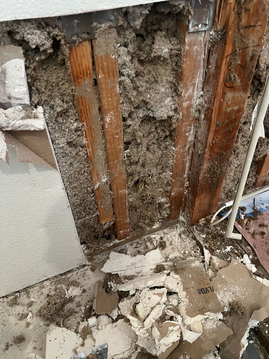 Narrow green hallway with a black trash bag on the floor and a dirty, damaged door at the end.