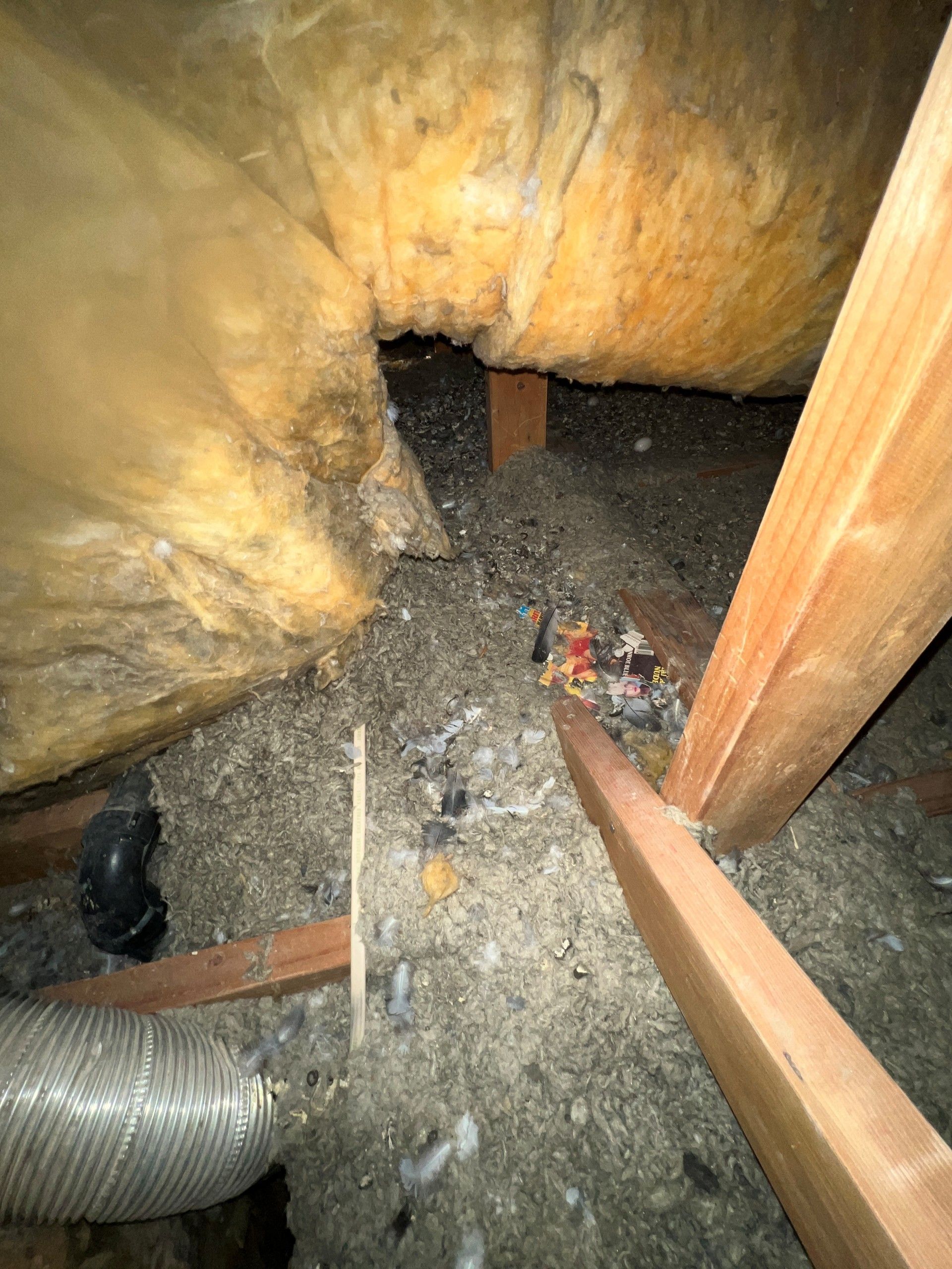 Insulated attic crawlspace with exposed ductwork, beams, and debris on the floor.