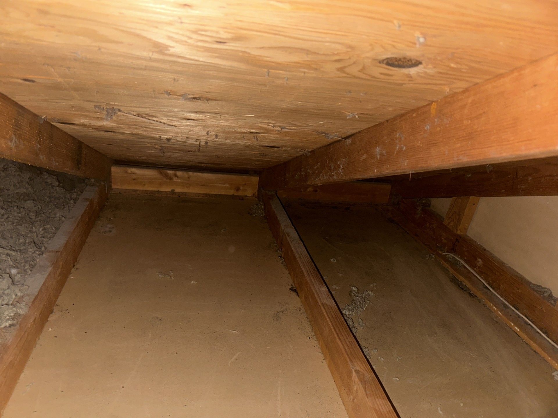 Inside a wooden crawlspace with slanted beams and a dirt floor, viewed toward a narrow opening.