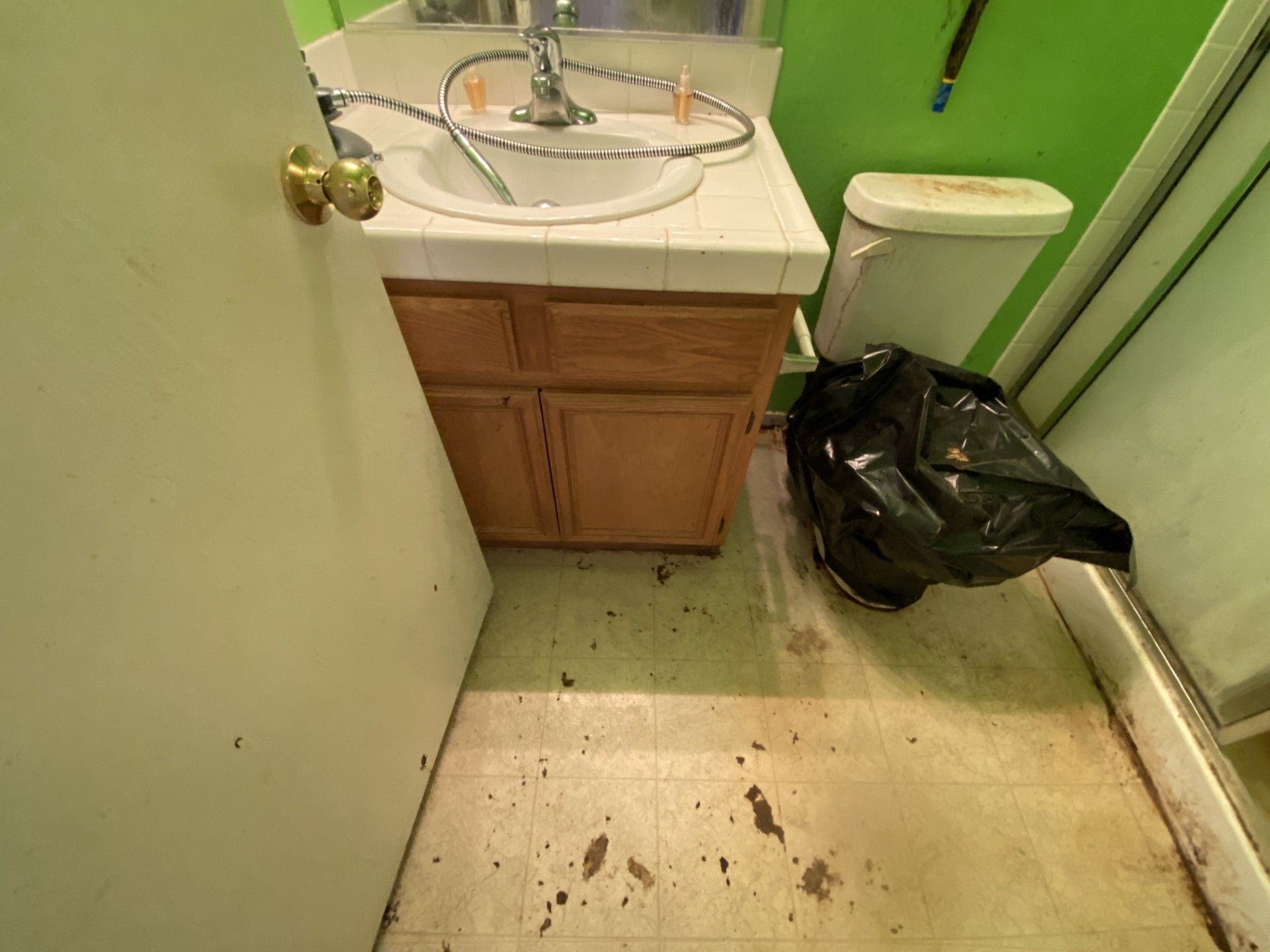 Small bathroom with sink, toilet, green walls, and a black trash bag on the floor.