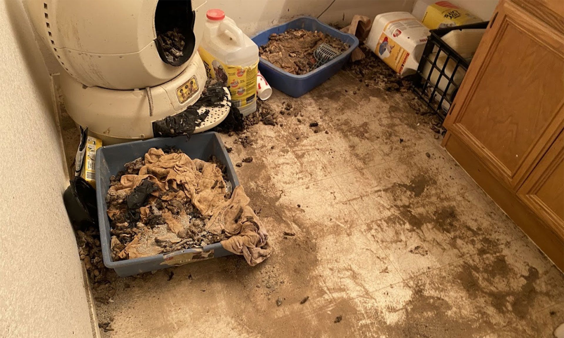 Dirty laundry room with spilled litter, pet mess, and cleaning supplies on the floor
