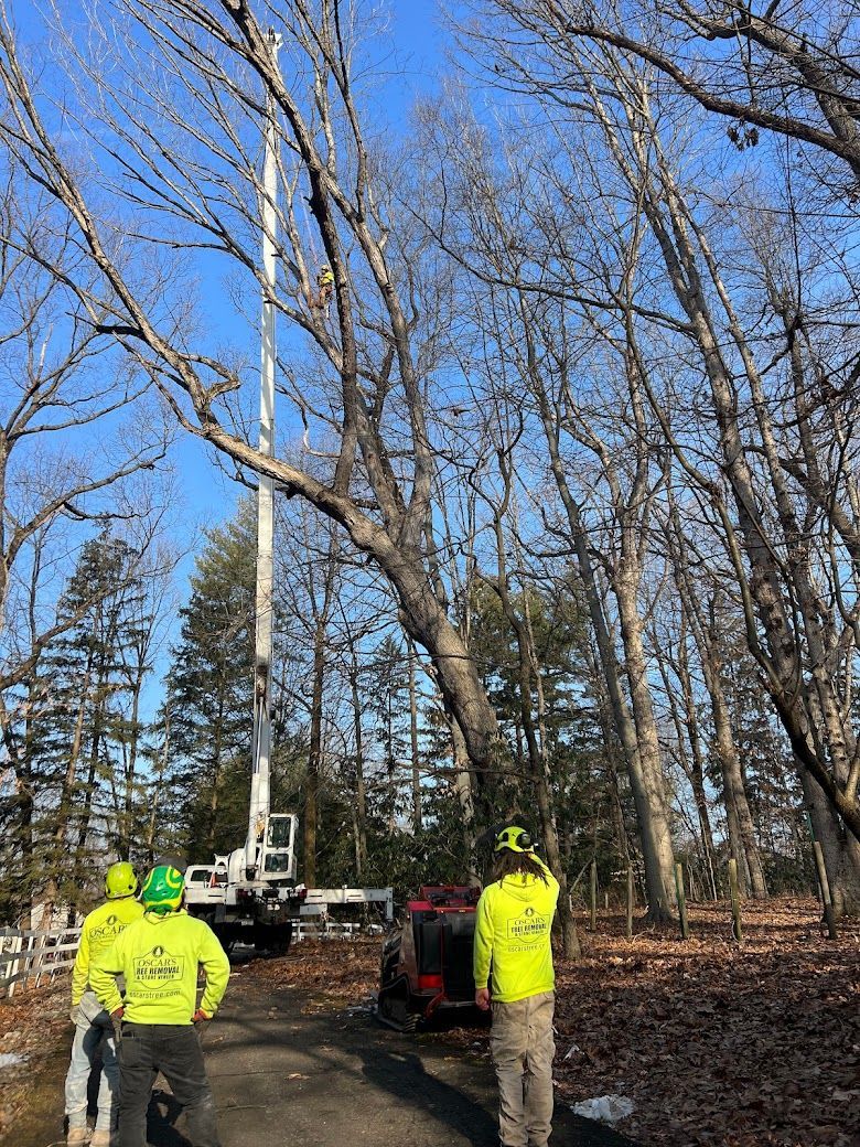 A group of men are standing next to a crane in the woods.