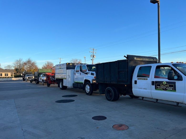 A row of trucks are parked in a parking lot.