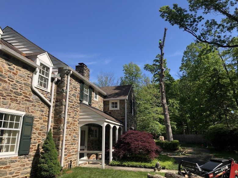 A large stone house with a large tree in front of it.
