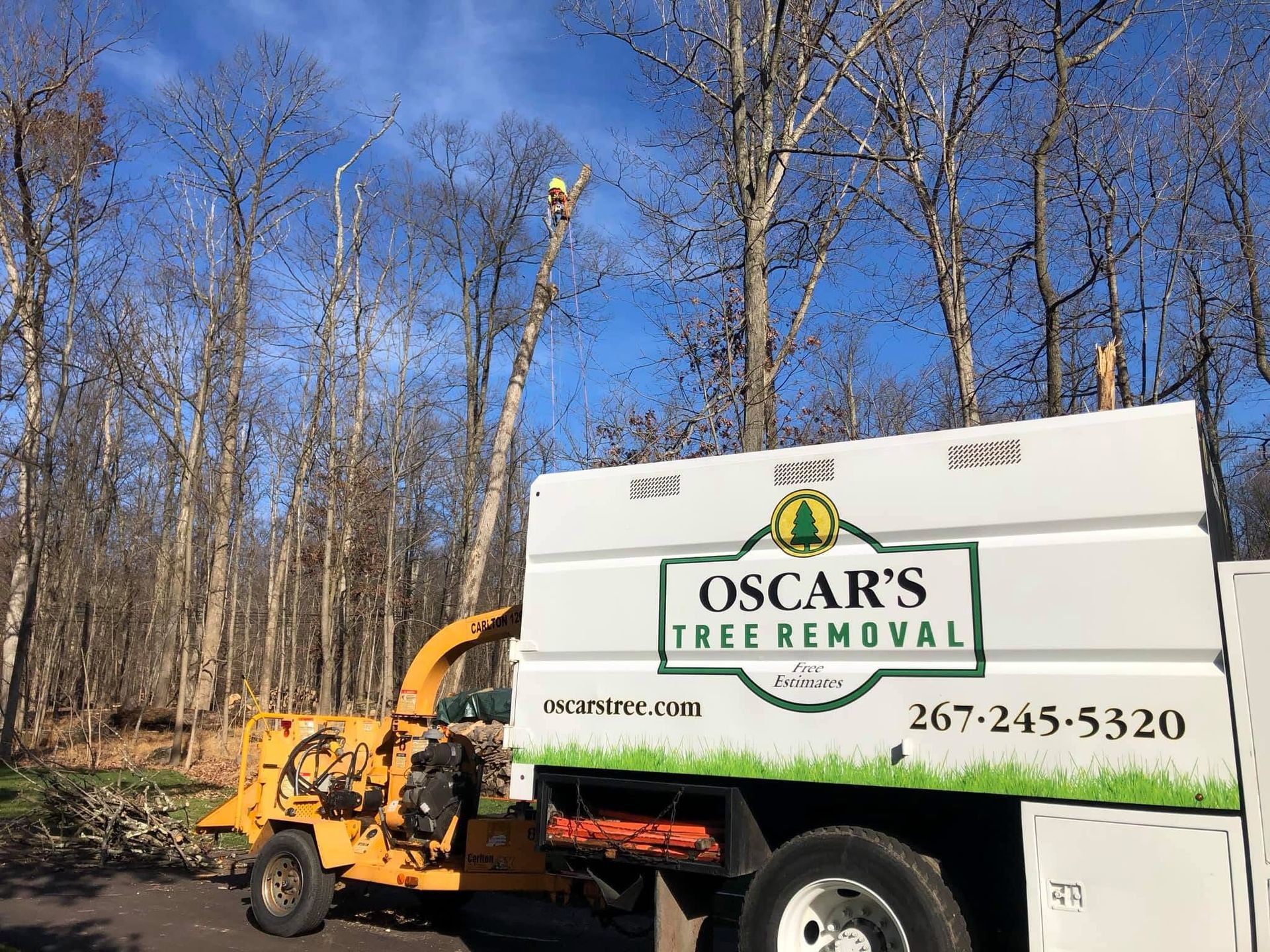 A tree removal truck is parked in front of a forest.