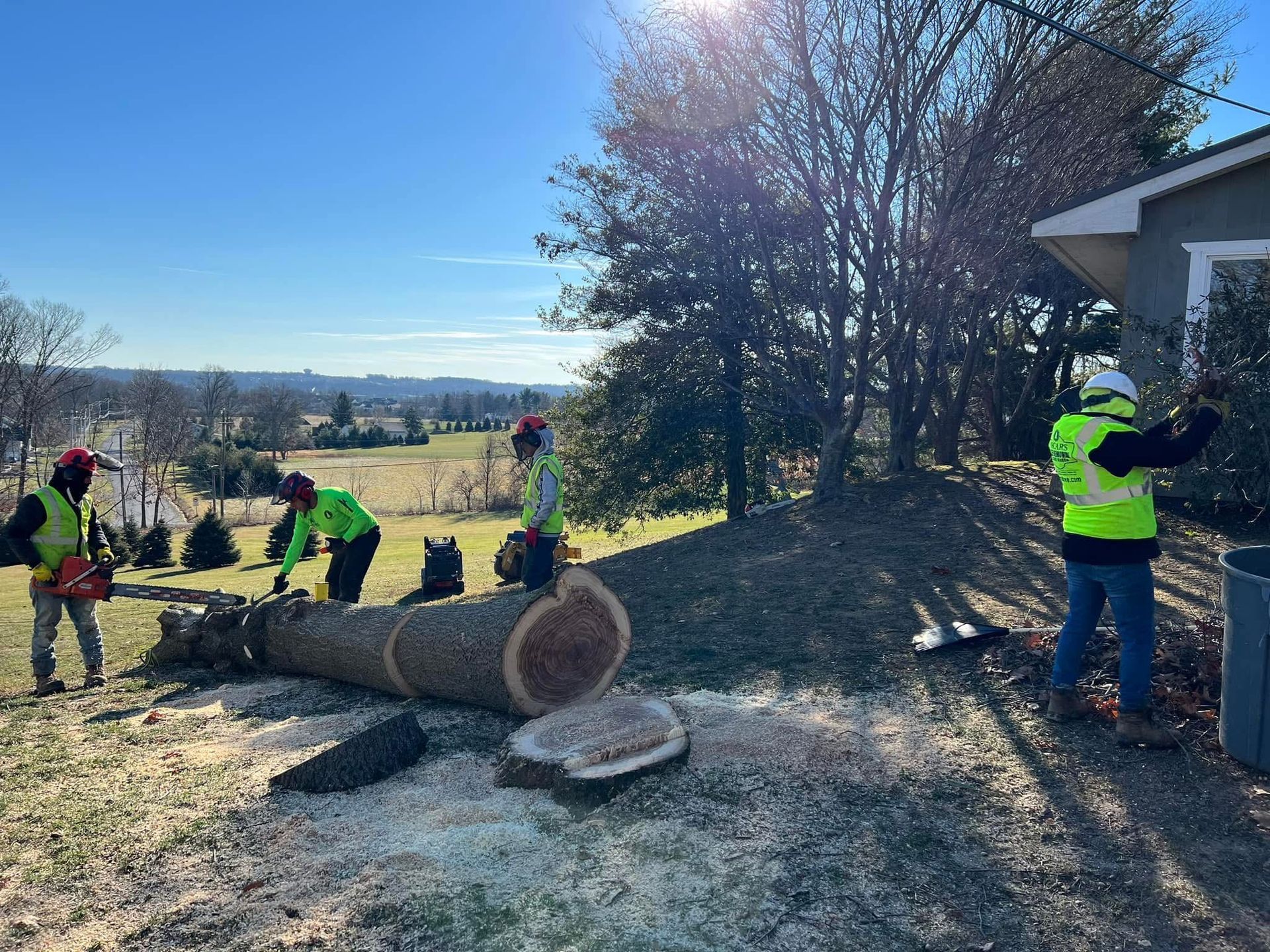 A group of people are cutting down a tree in front of a house.