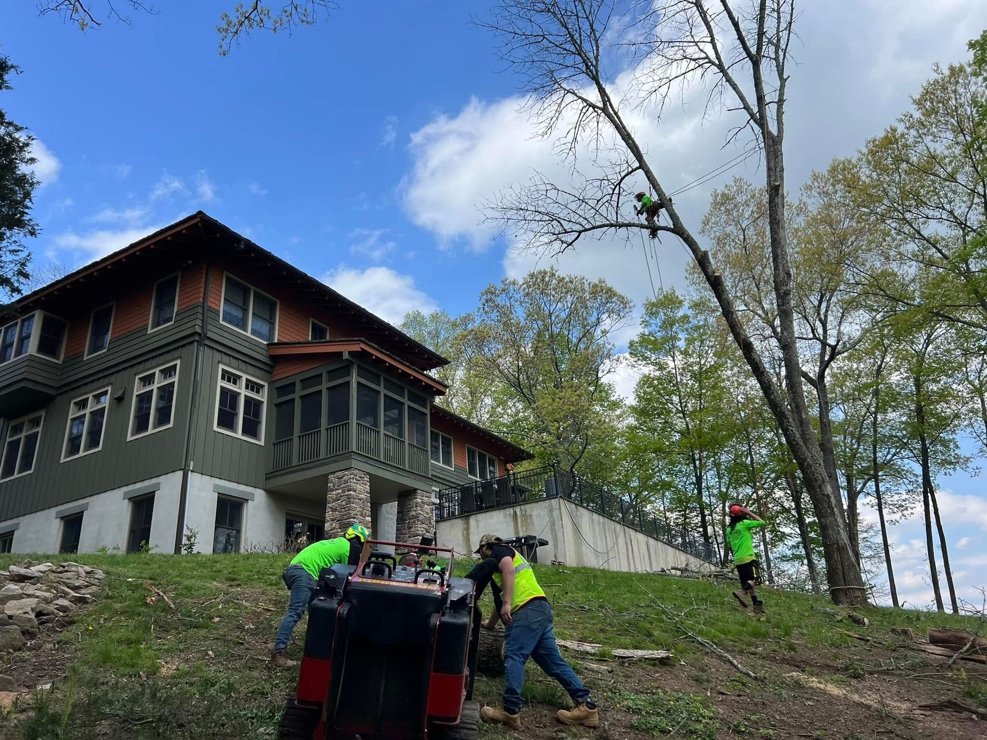 A group of people are working on a tree in front of a house.