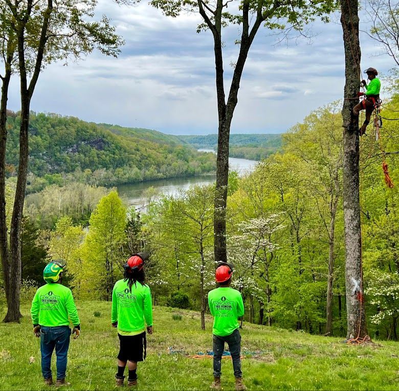 A group of people in green shirts are standing in a field with trees and a river in the background
