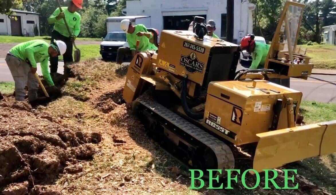 A group of men are working on a tree stump in a yard.