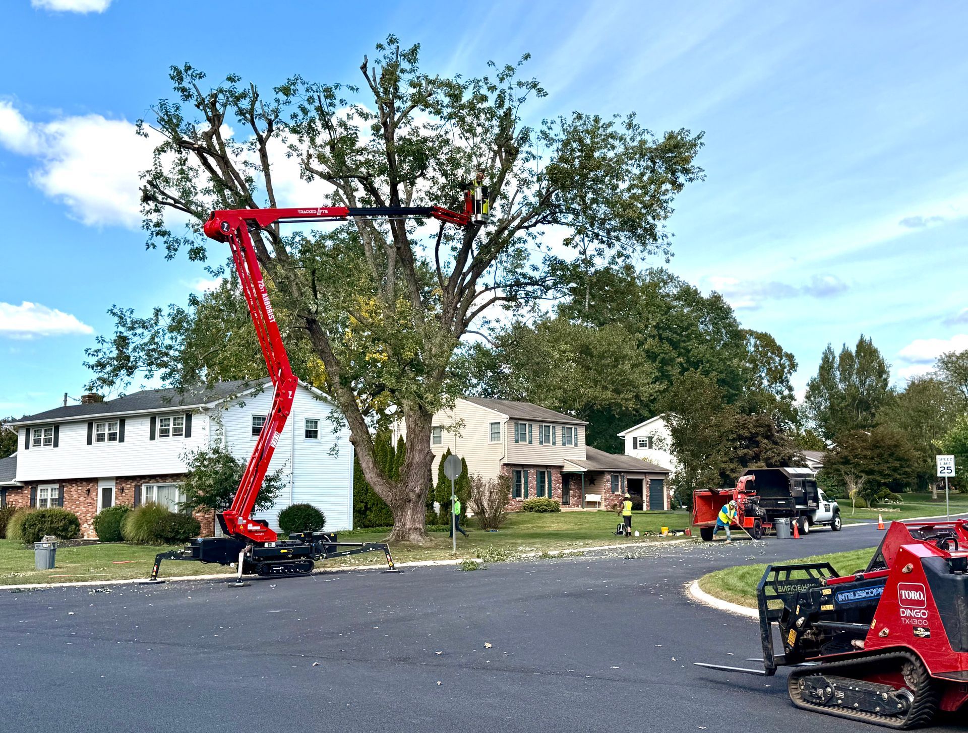 Tree trimming service with a red lift truck trimming a tree in front of houses on a sunny day.