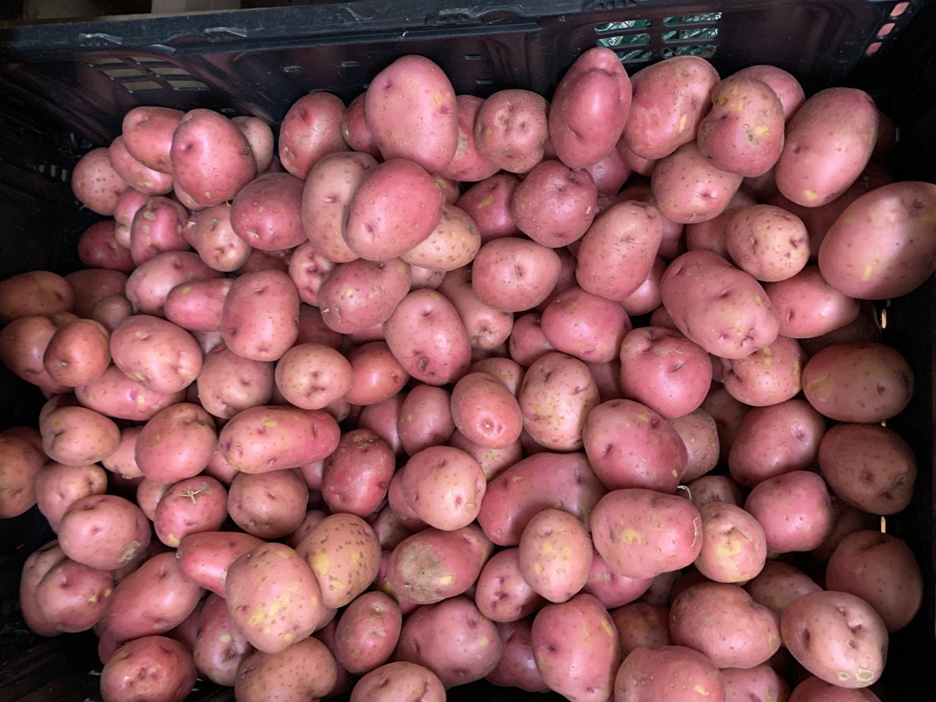 Knights Market goods