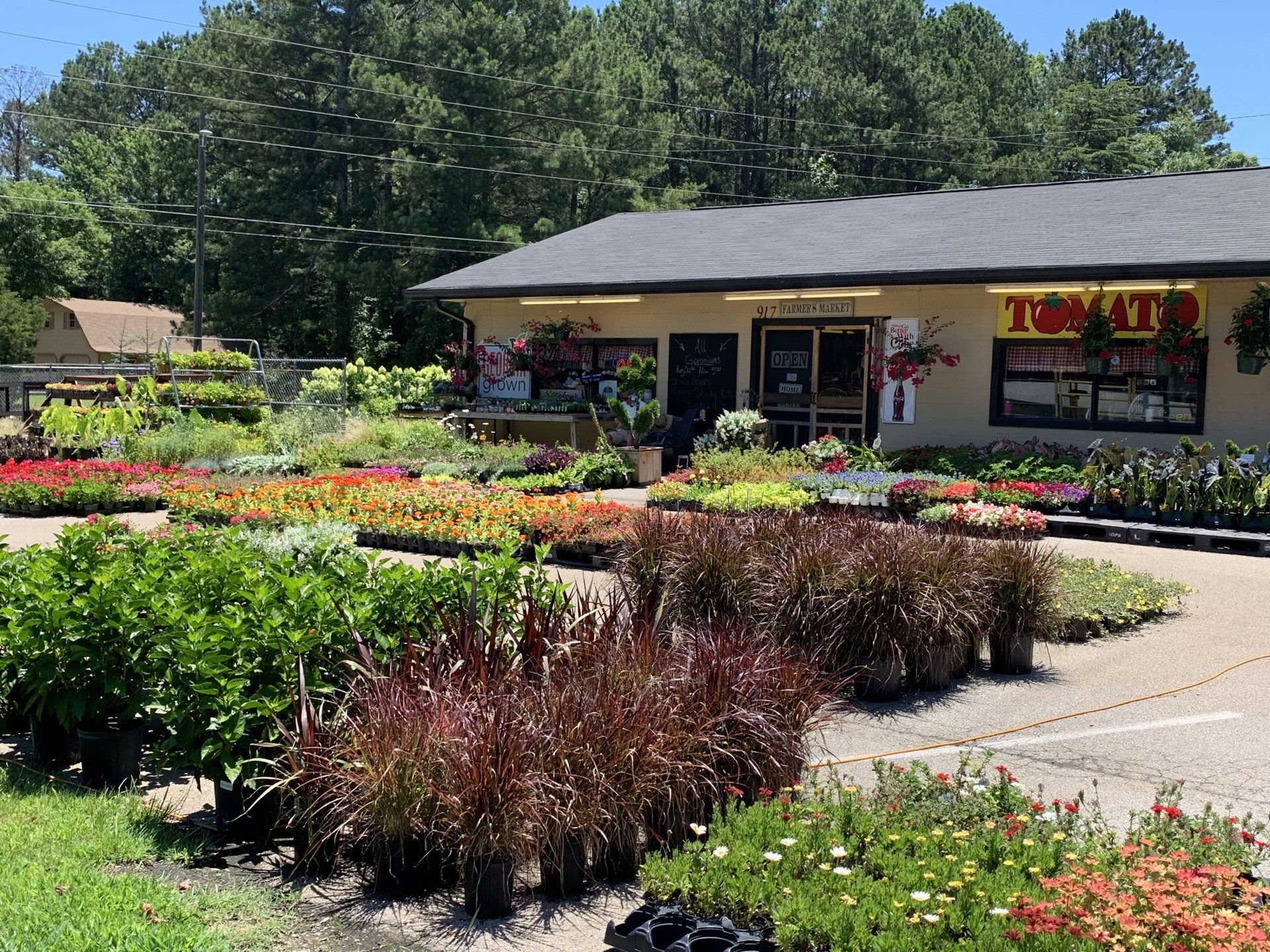 Lowe store improvement garden center georgia nursery plant dept college flowers macon greenhouse warehouse homes lowes inspiration hardware milledgeville attorney