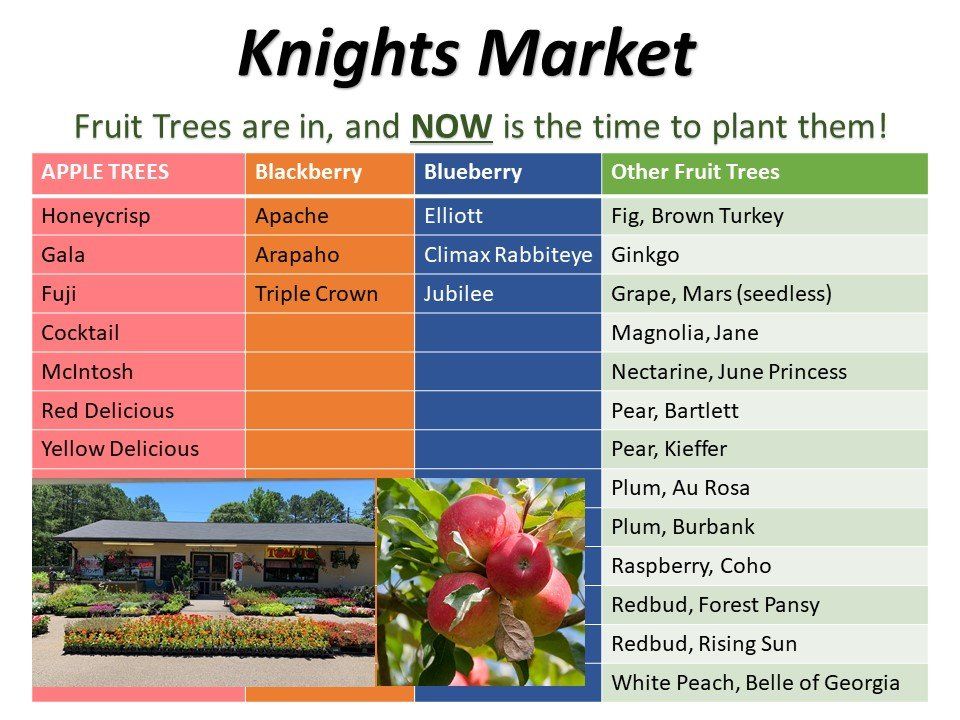 Knights market fruit trees are in and now is the time to plant them