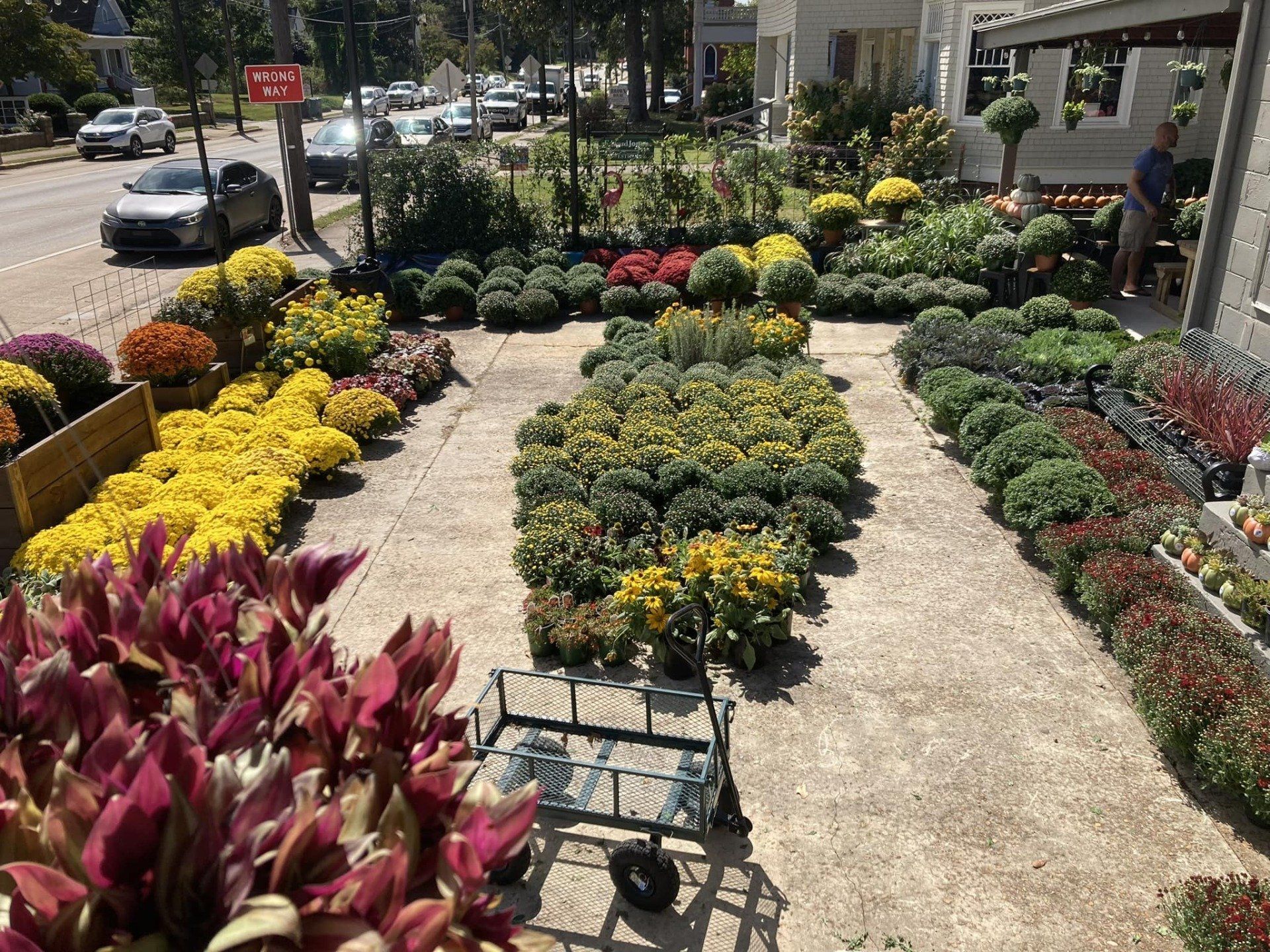 Knights Market Downtown McDonough, GA