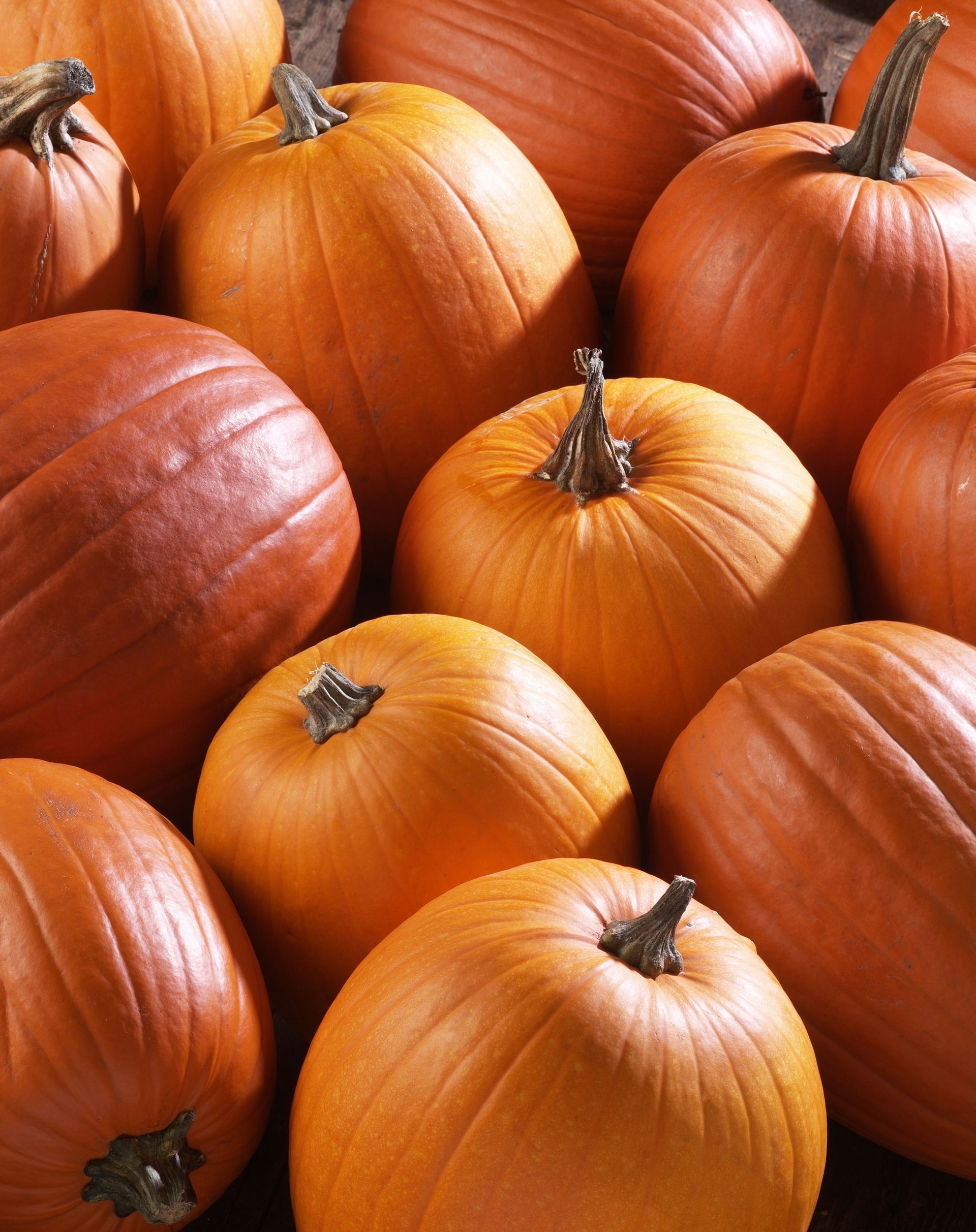 Orange pumpkins, close-up view.